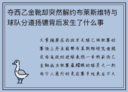 夺西乙金靴却突然解约布莱斯维特与球队分道扬镳背后发生了什么事 夺西乙金靴却突然解约布莱斯维特与球队分道扬镳背后发生了什么事
